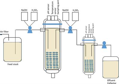 Zymomonas mobilis Biofilm Reactor for Ethanol Production Using Rice Straw Hydrolysate Under Continuous and Repeated Batch Processes